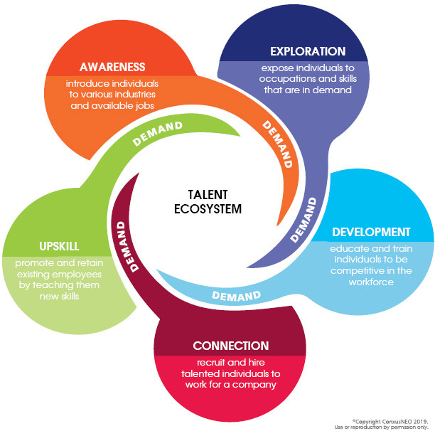 Talent ecosystem graphic